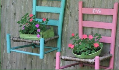 Old chairs used as plant shelves